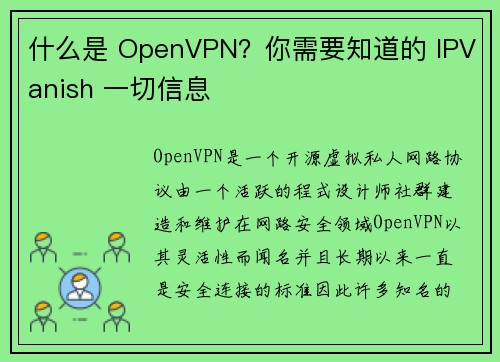 什么是 OpenVPN？你需要知道的 IPVanish 一切信息